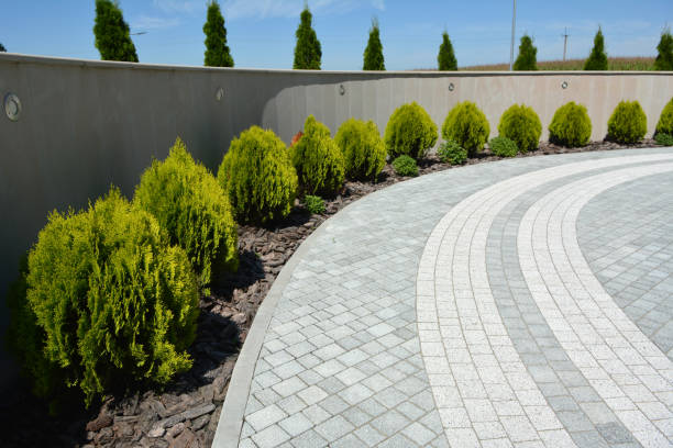 Best Driveway Repair Near Me  in Wahneta, FL